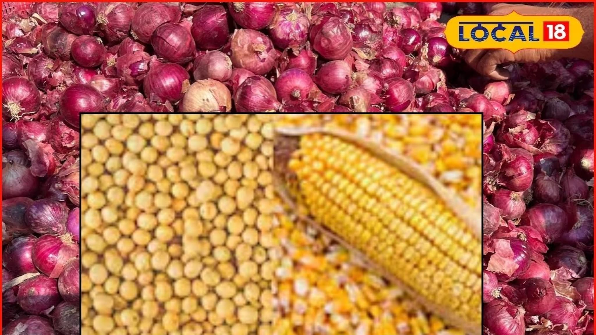 Krishi Market: कांदा, मक्याचे दर पुन्हा घसरले, रविवारी सोयाबीनला किती मिळाला भाव