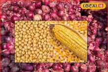 Krishi Market: कांदा, मक्याचे दर पुन्हा घसरले, रविवारी सोयाबीनला किती मिळाला भाव?