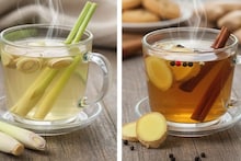 Ginger Tea vs Lemongrass Tea : गवती की आल्याचा, आरोग्यासाठी कोणता चहा आहे 'नंबर 1'? फक्त चवच नाही तर 'या' गोष्टींही महत्वाच्या