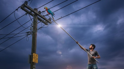 AI Generated photo AI Generated photo