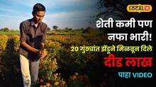 शेती कमी पण नफा भारी! फक्त २० गुंठ्यांत झेंडूने मिळवून दिले दीड लाख; फुलंब्रीच्या तरुणाचा 'सुपर ऑरेंज' पॅटर्न!