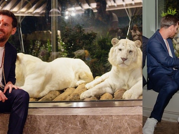 'वनतारा'मध्ये सिंह आणि व्हाईट टायगरसोबत मेस्सीचं खास फोटोसेशन, PHOTOS 'वनतारा'मध्ये सिंह आणि व्हाईट टायगरसोबत मेस्सीचं खास फोटोसेशन, PHOTOS