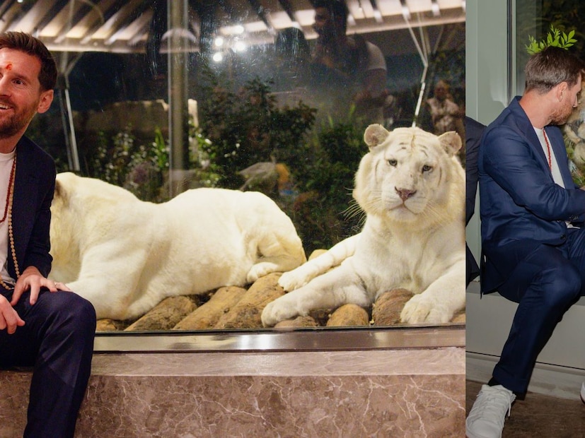 जागतिक फुटबॉल स्टार लिओनेल मेस्सीचा भारताचा दौरा चांगलाच गाजला. पण, या दौऱ्याचं खास आकर्षण होतं जामनगर इथं अनंत अंबानी यांच्या संकल्पनेतून साकारलेल्या 'वनतारा' या प्राणी रेस्क्यू सेंटरची भेट. मेस्सी याने संपूर्ण वनताराची पाहणी केली आणि भारावून गेला. यावेळी सिंह आणि व्हाईट टायगरसोबतच फोटो व्हायरल झाले आहे. जागतिक फुटबॉल स्टार लिओनेल मेस्सीचा भारताचा दौरा चांगलाच गाजला. पण, या दौऱ्याचं खास आकर्षण होतं जामनगर इथं अनंत अंबानी यांच्या संकल्पनेतून साकारलेल्या 'वनतारा' या प्राणी रेस्क्यू सेंटरची भेट. मेस्सी याने संपूर्ण वनताराची पाहणी केली आणि भारावून गेला. यावेळी सिंह आणि व्हाईट टायगरसोबतच फोटो व्हायरल झाले आहे.