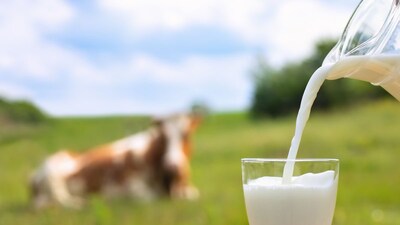 प्रतिकात्मक फोटो