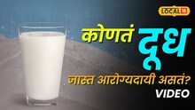 या गाईच्या दुधामुळे होऊ शकतो डायबेटिस ! कोणतं दूध ठरेल 'अमृत'? सांगलीच्या डॉक्टरांचा मोठा खुलासा