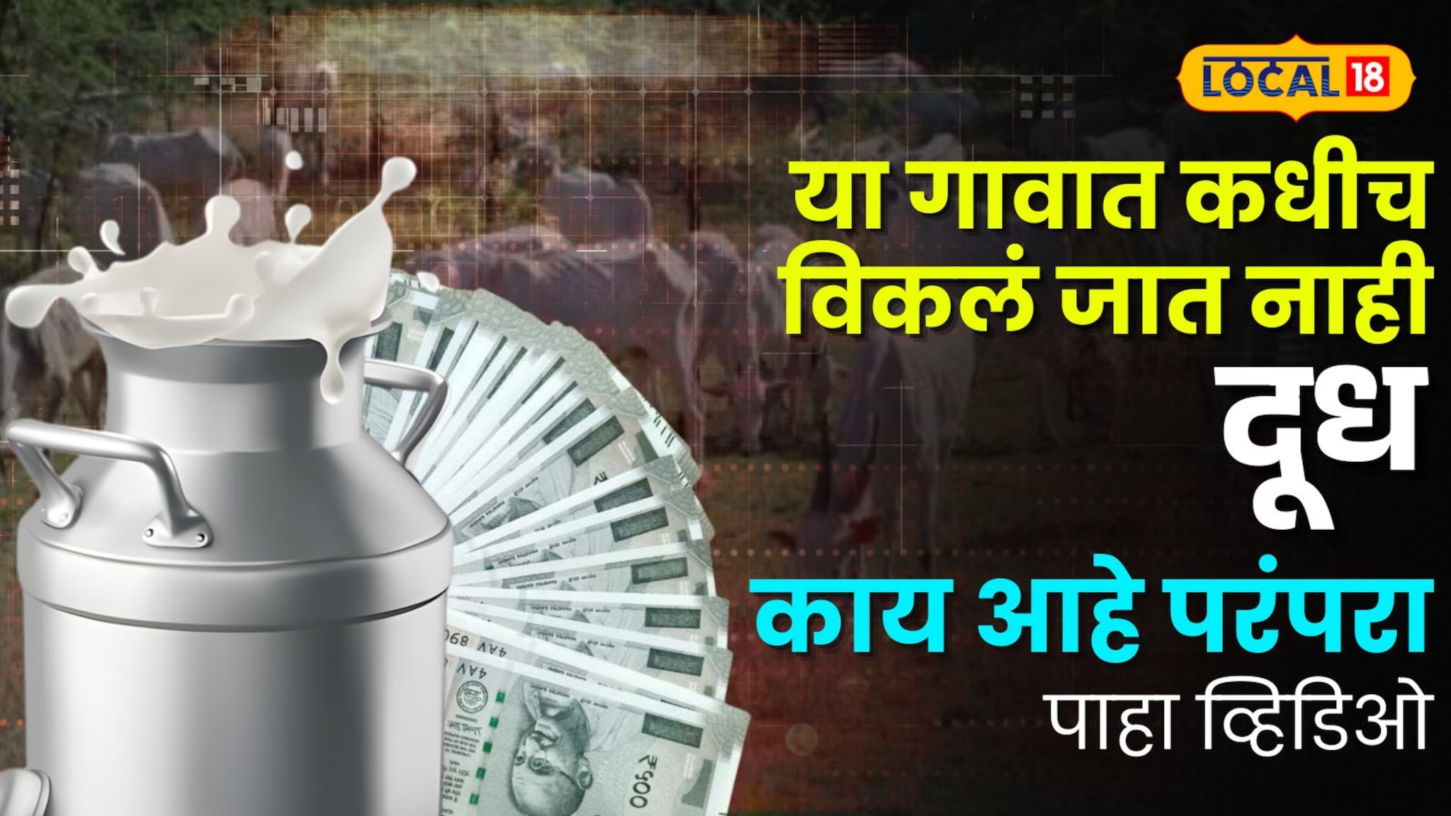 ...म्हणून महाराष्ट्रातल्या या गावात कधीच विकलं जात नाही दूध, काय आहे परंपरा