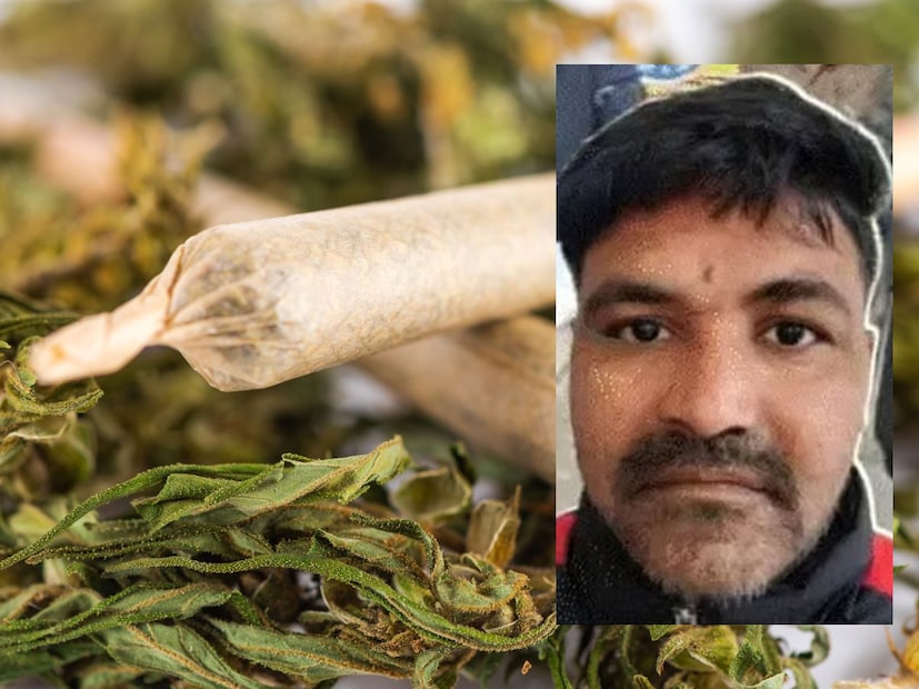 नेमके काय घडले आणि माल कुठे लपवला होता?सतना पोलिसांनी ड्रग्ज तस्करीवर केलेल्या मोठ्या कारवाईत अनिल बागडी आणि त्यांचा साथीदार पंकज सिंग यांना अटक केली आहे.
पोलिसांनी अनिल बागडी आणि पंकज सिंग यांच्याकडून तब्बल 46 किलो गांजा जप्त केला आहे. आंतरराष्ट्रीय बाजारात या जप्त केलेल्या गांजाची किंमत सुमारे 9.22 लाख रुपये असल्याचे सांगण्यात येत आहे.