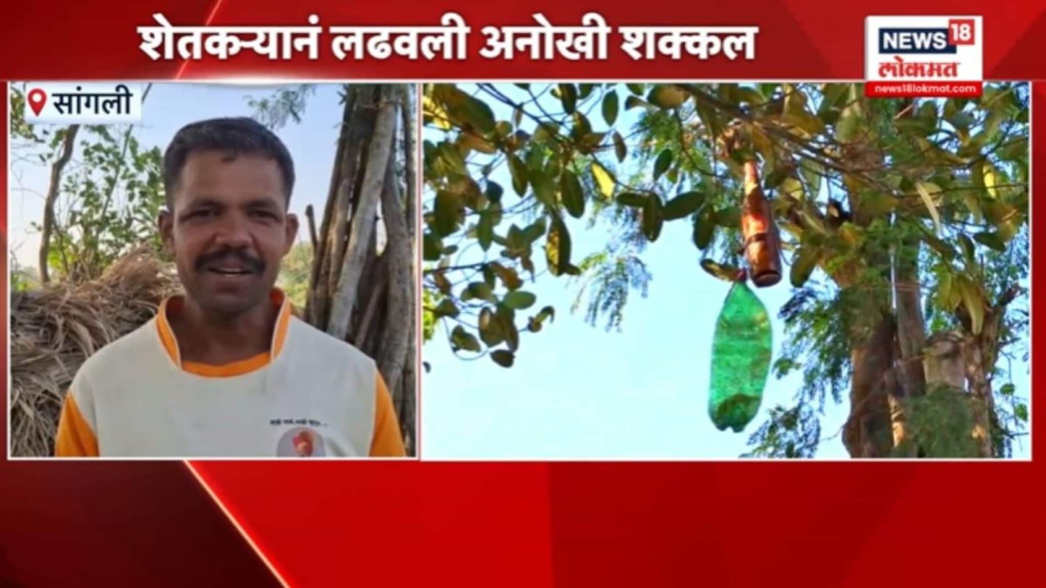 बिबट्यापासून संरक्षणासाठी केला जुगाड,  शेतकऱ्याने लढवली अनोखी शक्कल,VIDEO