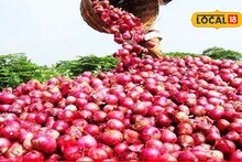 शेतकऱ्यांनो आता बिनधास्त करा कांद्याची साठवणूक, चाळीसाठी मिळतंय 50 टक्के अनुदान, असा करा अर्ज