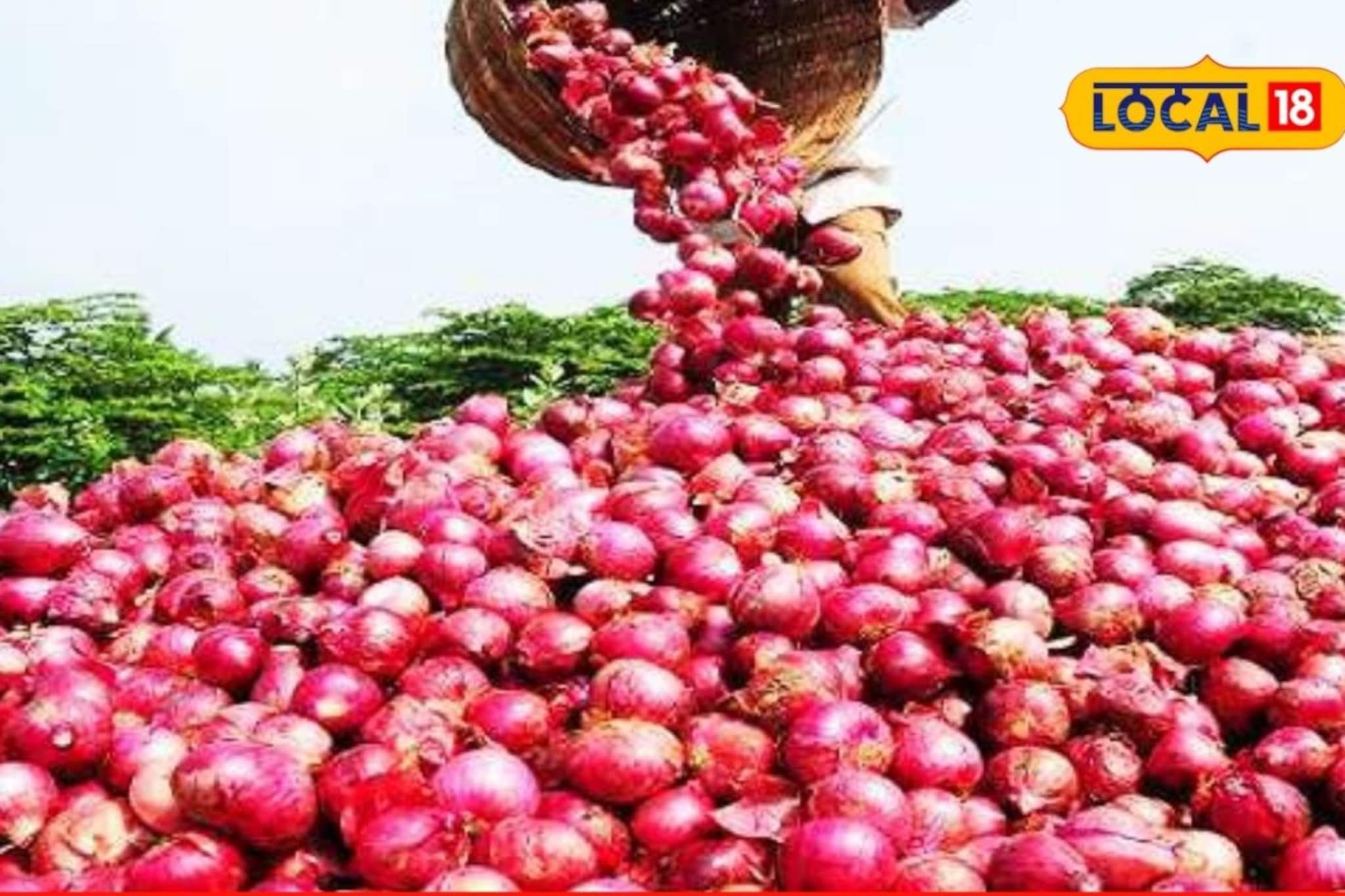 बिनधास्त करा कांद्याची साठवणूक, चाळीसाठी मिळतंय 50 टक्के अनुदान, असा करा अर्ज