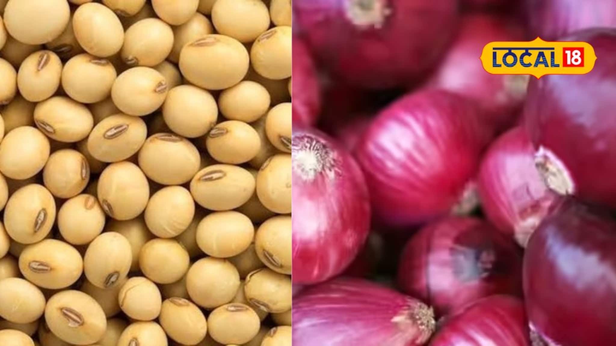 मका दर घसरलेलेच, सोयाबीन आणि कांद्याची आज काय स्थिती? चेक करा एका क्लिकवर