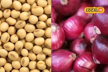 Krushi Market: मका दर घसरलेलेच, सोयाबीन आणि कांद्याची आज काय स्थिती? चेक करा एका क्लिकवर