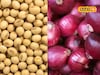 मका दर घसरलेलेच, सोयाबीन आणि कांद्याची आज काय स्थिती? चेक करा एका क्लिकवर