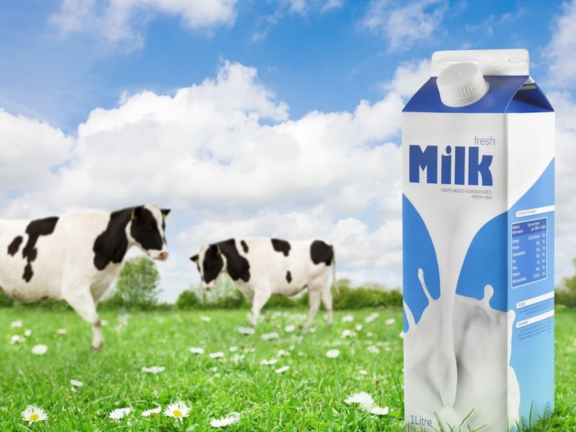 पॅकेटमधील दूध कधी गरम करावे?दुधाला पुन्हा उकळू नका, पण तुम्ही खालील दोन परिस्थितीत त्याला हलके गरम करू शकता:
1. गरम पिण्यासाठी: जर तुम्हाला गरम दूध पिण्याची इच्छा असेल तर आणि 2. सुरक्षिततेसाठी: जर एकदा पॅकेट उघडल्यानंतर दूध अनेक तास खोलीच्या तापमानावर (Room Temperature) राहिले असेल. लक्षात ठेवा, उघडलेले पॅकेट नेहमी रेफ्रिजरेटरमध्ये ठेवा आणि 2-3 दिवसांत वापरा.