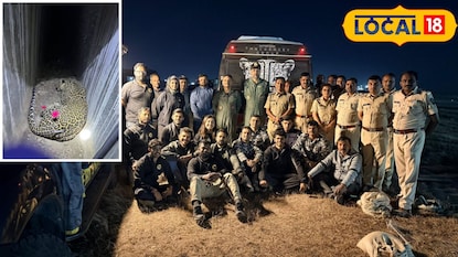 बिबट्या जेरबंद बिबट्या जेरबंद