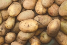 Potato : बटाटे लवकर कुजतात किंवा मोड येतात? मग तुमटी पद्धत चुकतेय, घरी असा टिकवा बटाटा