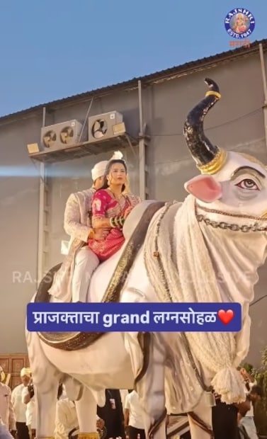 रिसेप्शनसाठी प्राजक्ताने लाल रंगाची भरजरी साडी परिधान केली होती, तर शंभुराज यांनी मोती रंगाची शेरवानी घातली होती. प्राजक्ताच्या या अनोख्या एन्ट्रीचा व्हिडिओ सोशल मीडियावर व्हायरल झाल्यानंतर अनेक नेटकऱ्यांनी यावर तीव्र प्रतिक्रिया दिल्या आहेत. अनेकांना ही कृती अयोग्य वाटली.