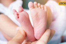 Mumbai News: नेमकं काय घडलं? वाडिया रुग्णालयात 9 अर्भकांचा मृत्यू, पालकांचे गंभीर आरोप