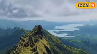 राजगडावर मधमाशांचा हल्ला