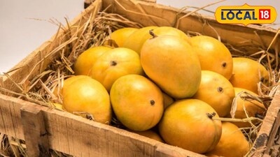 मार्केट यार्डात 'हापूस'ची एन्ट्री (प्रतिकात्मक फोटो) 