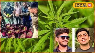 Hinjewadi Case: हिंजवडी हायड्रोपोनिक गांजा प्रकरणात धक्कादायक खुलासा, थेट संभाजीनगर कनेक्शन उघड