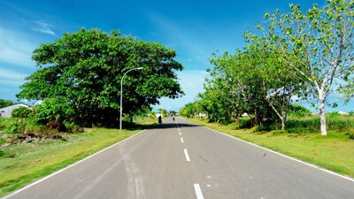 प्रतिकात्मक फोटो