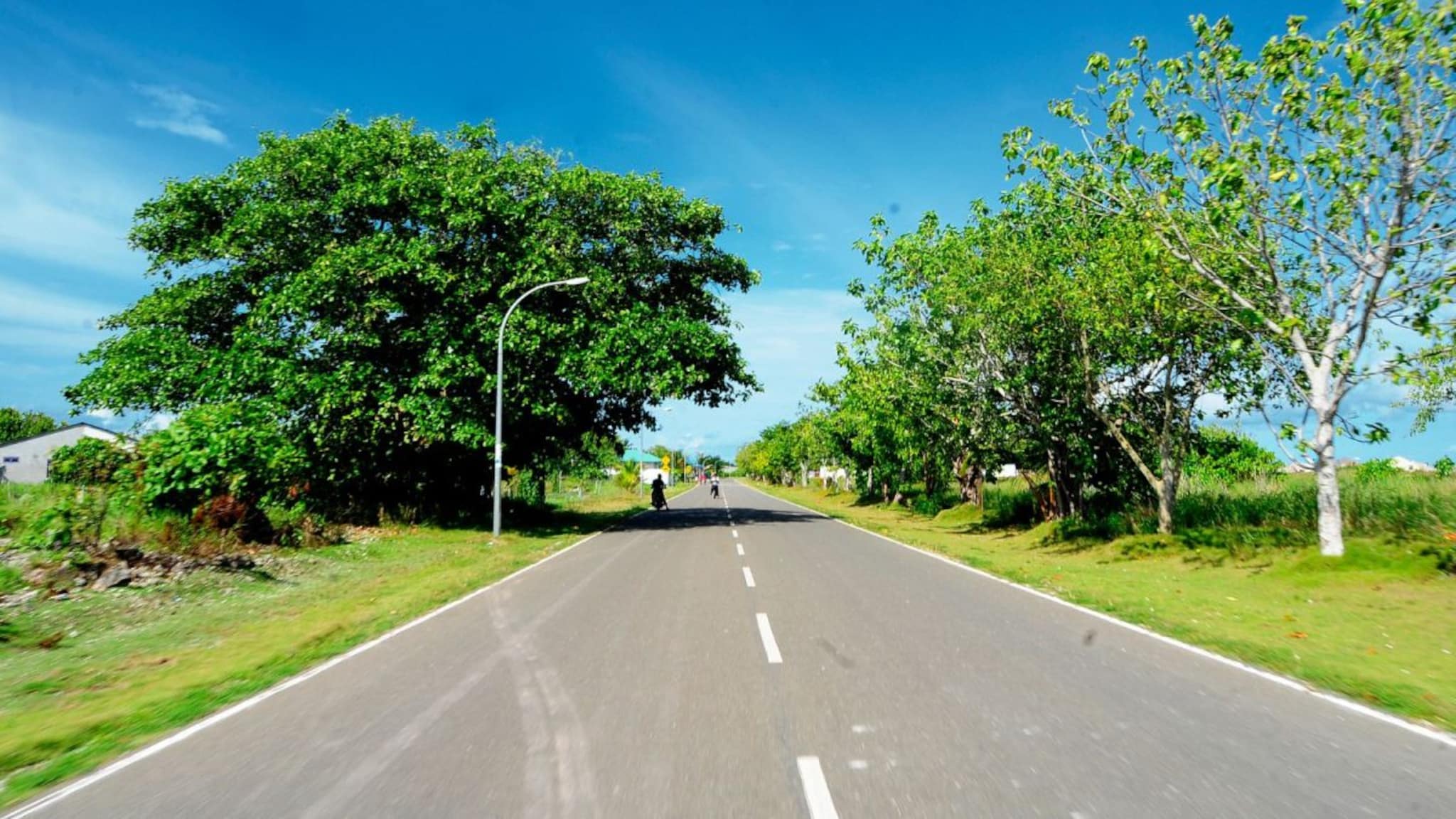 Science : रस्त्यावरच्या पांढऱ्या पट्ट्या रात्री चमकतात, पण दिवसा का नाही? यामागे कोणती बॅटरी आहे की अजून काही?