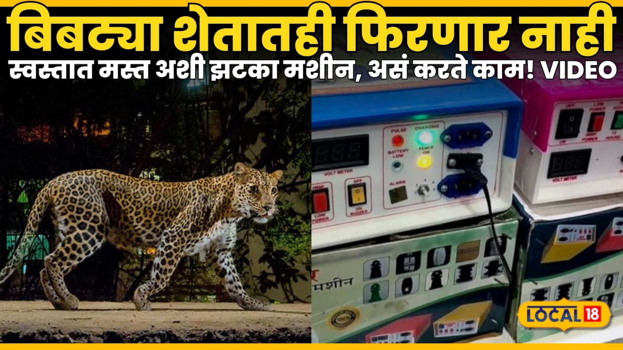 बिबट्या शेतातही फिरणार नाही, स्वस्तात मस्त अशी झटका मशीन, असं करते काम! VIDEO