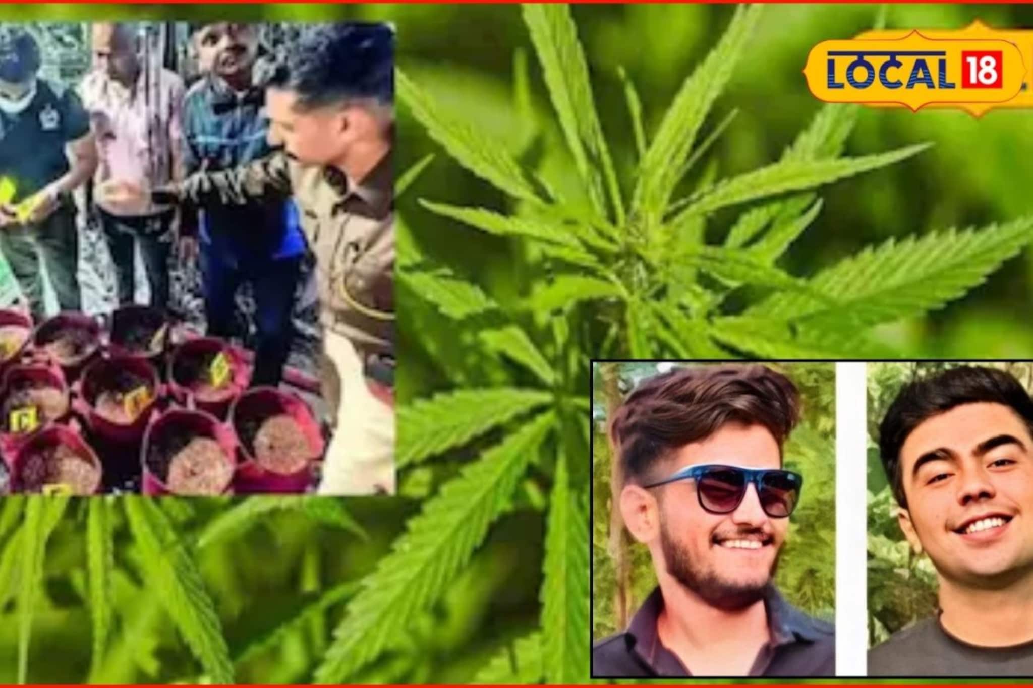 हिंजवडी हायड्रोपोनिक गांजा प्रकरणात धक्कादायक खुलासा, थेट संभाजीनगर कनेक्शन उघड