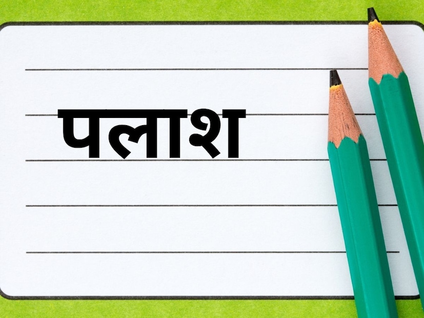 पलाश नावाचा अर्थ तेजस्वी,आगीसारखा चमकणारा, ऊर्जावान. नावासोबत हा अर्थ विशेष शुभ मानला जातो. फुलांचे झाड या अर्थाने तो वापरला जातो.