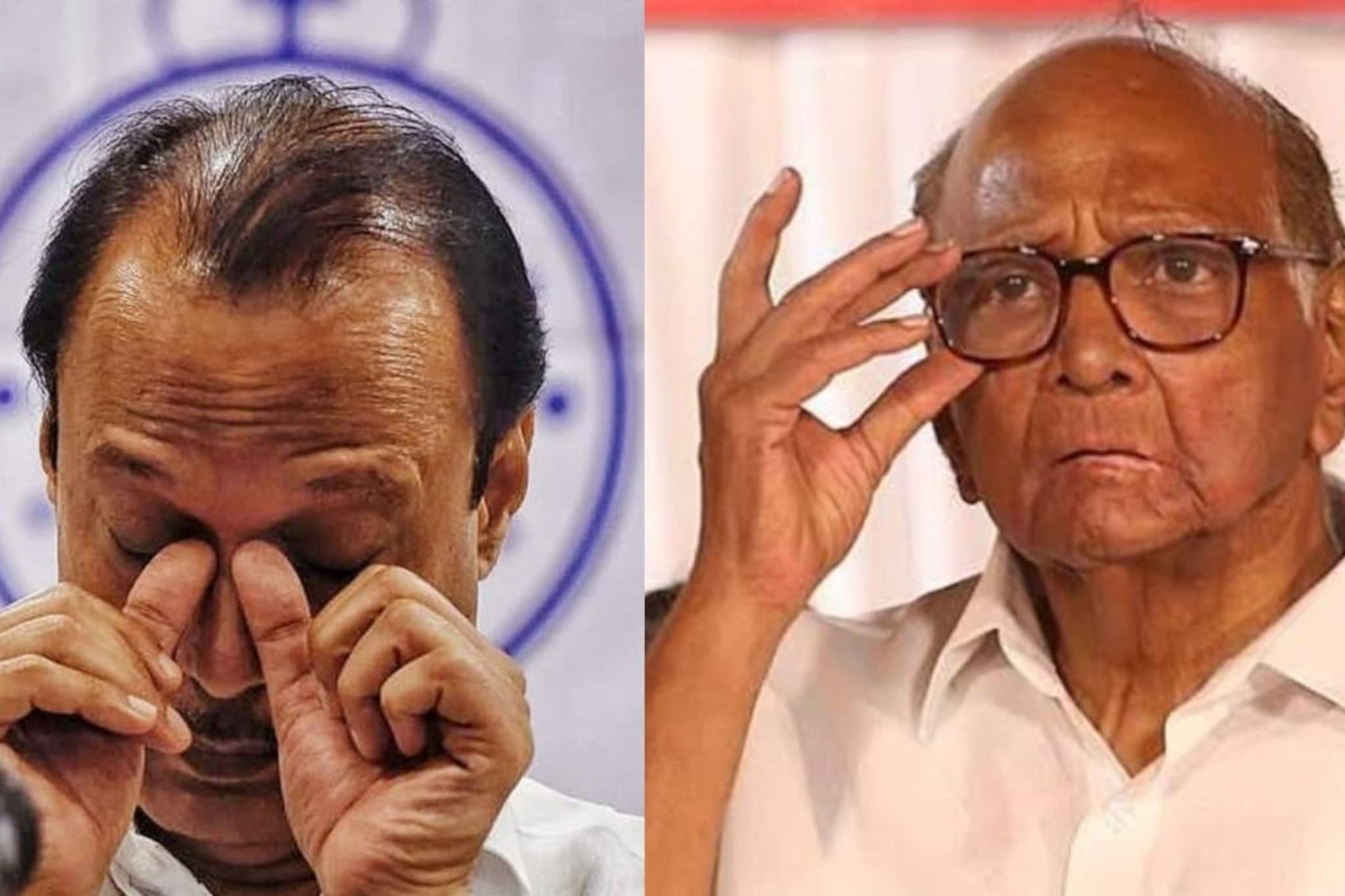 अहिल्यानगर जिल्ह्यात दादा भुईसपाट, काकांचाही सुपडा साफ, एकही नगराध्यक्ष नाही