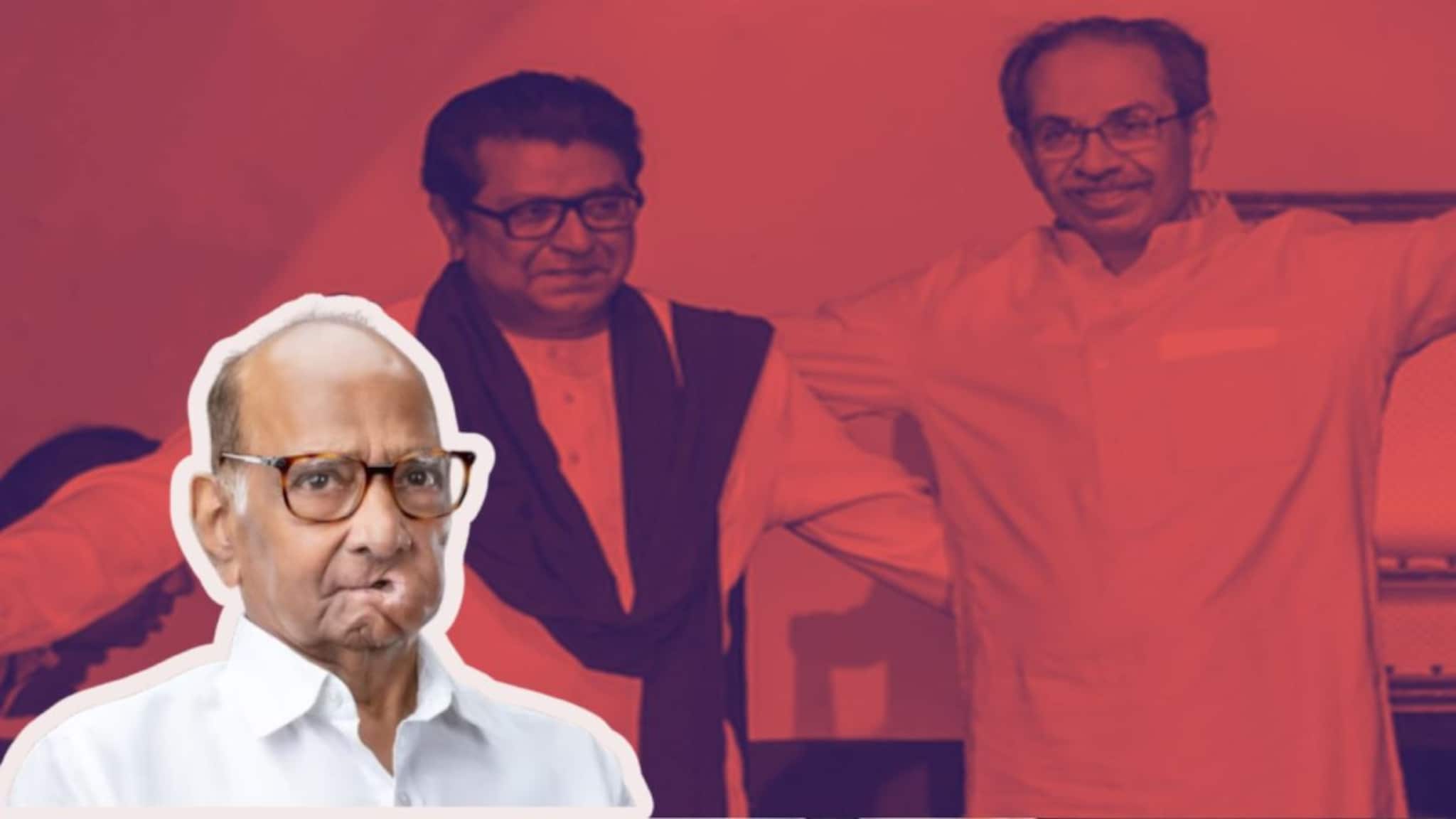 BMC Election : ठाकरे बंधूंच्या लढाईत शरद पवार सोबतीला,पण इतक्याच जागा मिळणार!