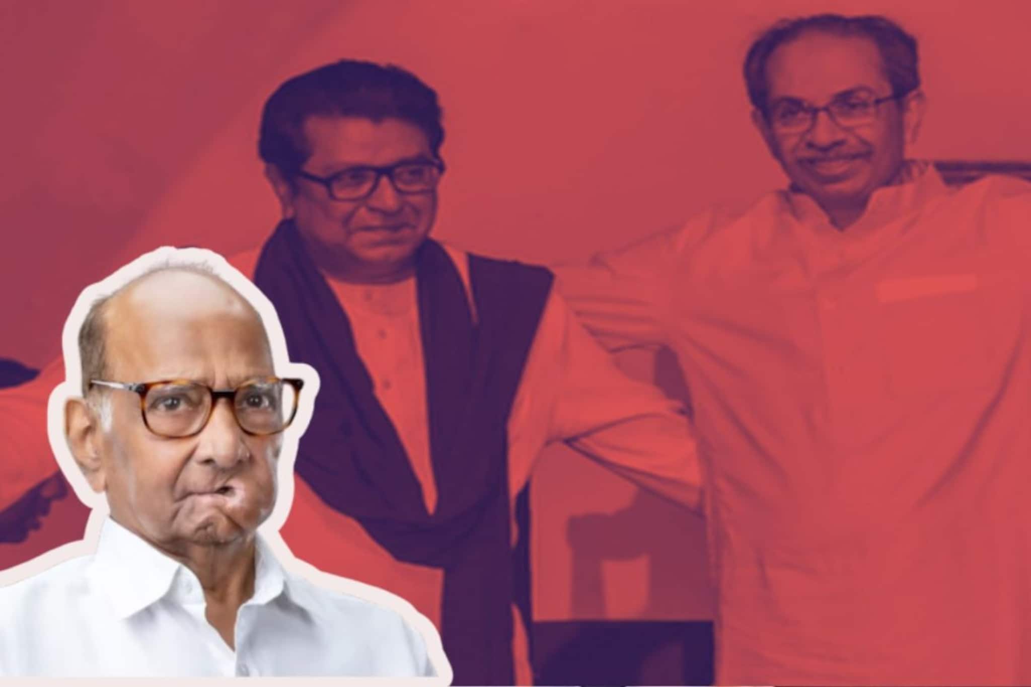 BMC Election : ठाकरे बंधूंच्या लढाईत शरद पवार सोबतीला,पण इतक्याच जागा मिळणार!