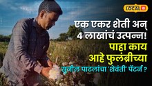 एक एकर शेती अन् ४ लाखांचं उत्पन्न! पाहा काय आहे फुलंब्रीच्या सुनील पाटलांचा 'शेवंती' पॅटर्न ?