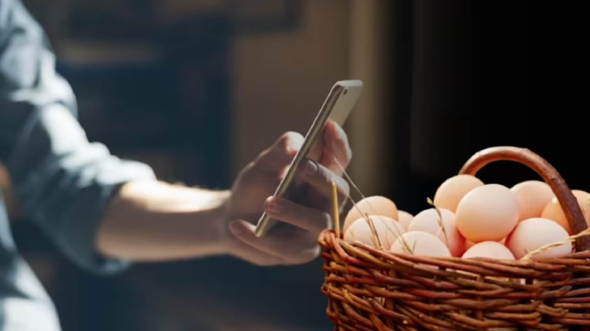 आता स्मार्टफोन सांगेल तुम्ही आणलेल अंडं फ्रेश आहे की शिळं! झटपट जाणून घ्या ट्रिक आता स्मार्टफोन सांगेल तुम्ही आणलेल अंडं फ्रेश आहे की शिळं! झटपट जाणून घ्या ट्रिक