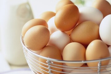 आता स्मार्टफोन सांगेल तुम्ही आणलेल अंडं फ्रेश आहे की शिळं! झटपट जाणून घ्या ट्रिक