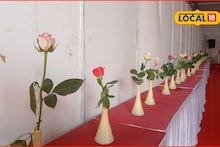 एक दोन नव्हे तब्बल 500 गुलाब, सोलापुरात भरलंय प्रदर्शन, काय आहे खास?