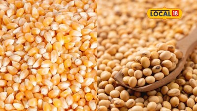 Maize Prices Plummet, Soybean Softens; Onion Sees Slight Rise on Saturday