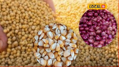 Maharashtra Mandi Update: Corn & Onion Prices Stable, Soybeans Rise Amid Increased Arrivals