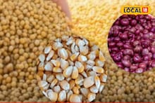 शेतकऱ्यांसाठी गुड न्यूज, सोयाबीन आणि कांद्याच्या दरात वाढ, मक्याला काय मिळाला भाव?