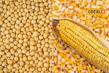 सोयाबीन आणि मक्याची पुन्हा दर वाढ, कांद्याला आज काय मिळाला भाव? इथं चेक करा