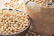 सोयाबीनच्या आवकेसह दरातही वाढ! कुठे किती मिळाला भाव? आजचे मार्केट काय?