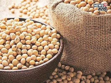 soybean market soybean market