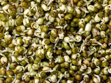 मोड आलेली मटकी-मूग खातो, मग बटाटे का नाही? 99 टक्के लोकांना माहित नाहीत ही कारणं