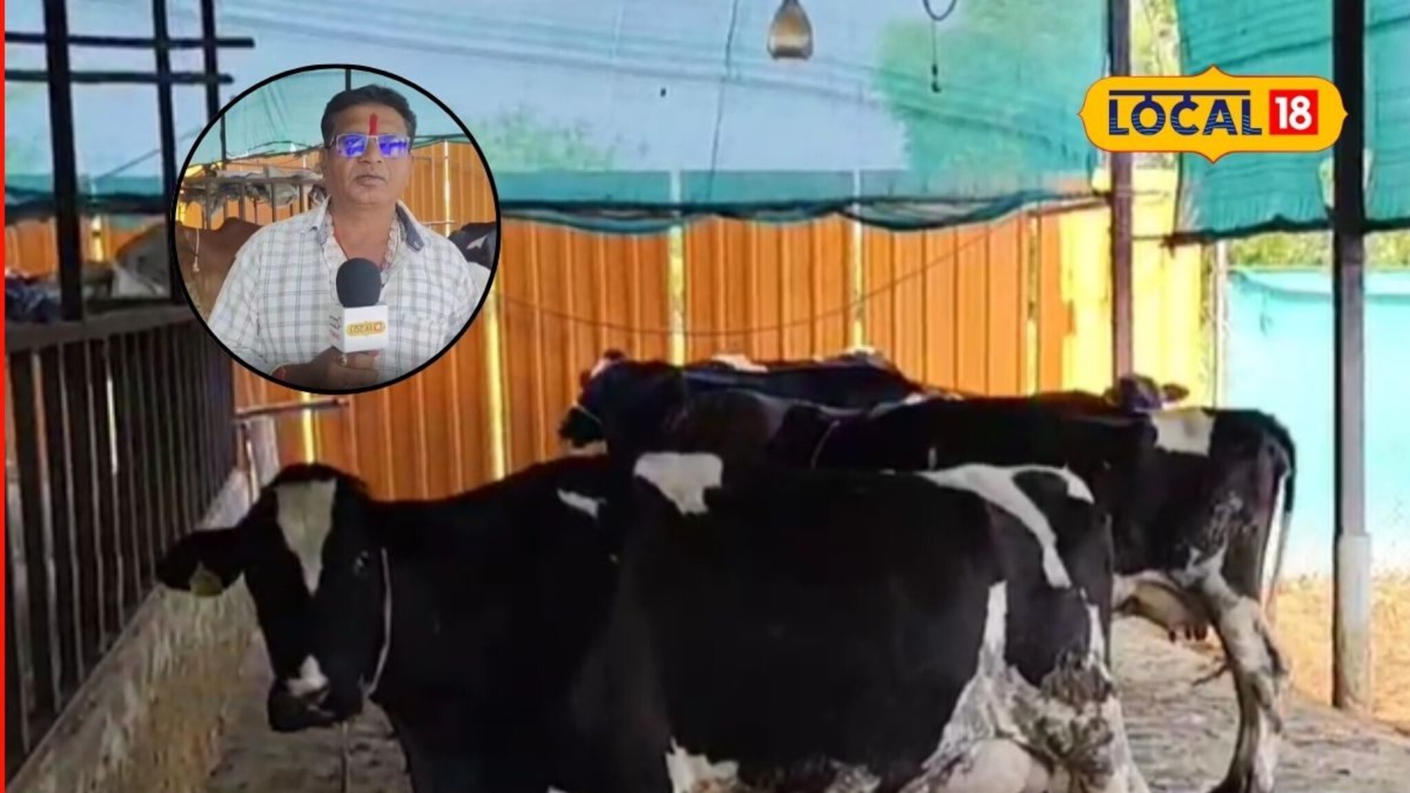 Success Story : शेतकऱ्यानं चालवलं डोकं, शेतीला जोडधंदा म्हणून निवडला दूध व्यवसाय, महिन्याला 1 लाख कमाई