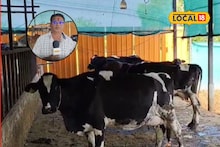 Success Story : शेतकऱ्यानं चालवलं डोकं, शेतीला जोडधंदा म्हणून निवडला दूध व्यवसाय, महिन्याला 1 लाख कमाई