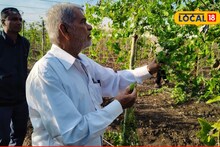 Success Story : नेहमीच्या पिकांना दिला फाटा, शेतकऱ्यानं केला तोडले शेतीचा प्रयोग, उत्पन्न लाखात! Video