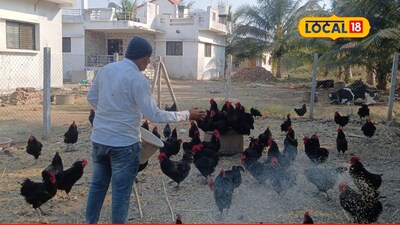 Biscuit Company Employee Turns Poultry King: Vishal's 3 Lakh Monthly Turnover!