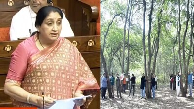 Ajit Pawar Backs Sayaji Shinde on Tapovan Trees, Sunetra Praises 15,000 Saplings for Kumbh