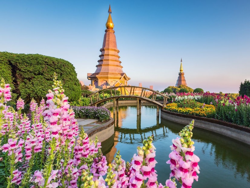 या नियमाची दोन मुख्य कारणेदुपारच्या वेळी दारूविक्रीवर बंदी घालण्याच्या नियमाची मुळे 1972 मध्ये आहेत, जेव्हा थायलंडमध्ये सैनिकी नेतृत्वाचे  शासन होते. प्रशासनाने हा नियम सार्वजनिक कल्याणासाठी बनवला असला तरी, याचे मुख्य उद्देश दोन होते